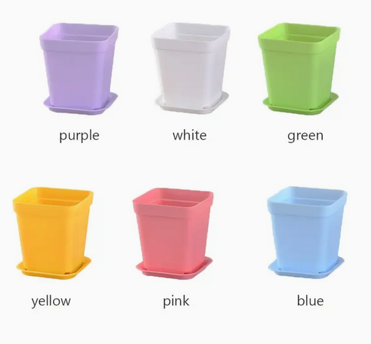 Colorful Planters w/ Base